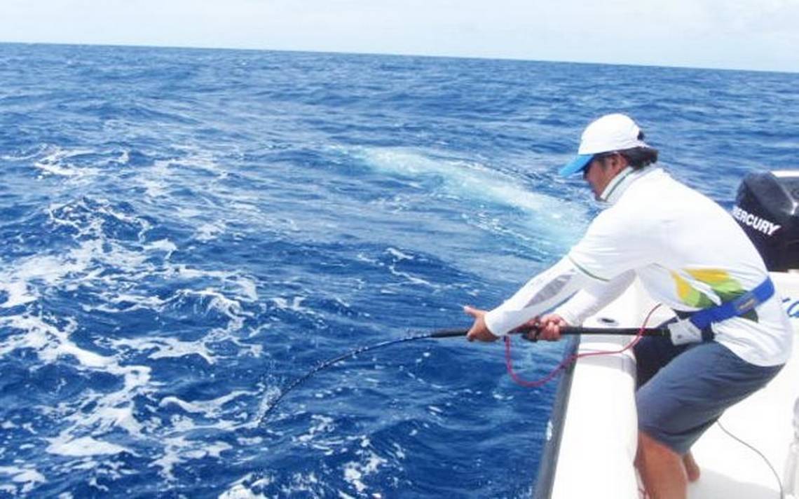 PESCA DEPORTIVA DE FONDO EN MAZATLAN - Escualo Sport Fishing Mazatlán