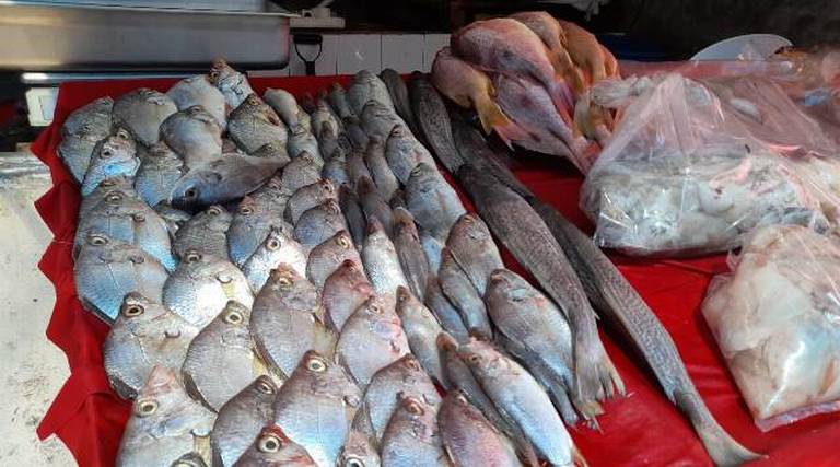 Repunta en Mazatlán venta de pescado y mariscos - El Sol de Mazatlán |  Noticias Locales, Policiacas, sobre México, Sinaloa y el Mundo