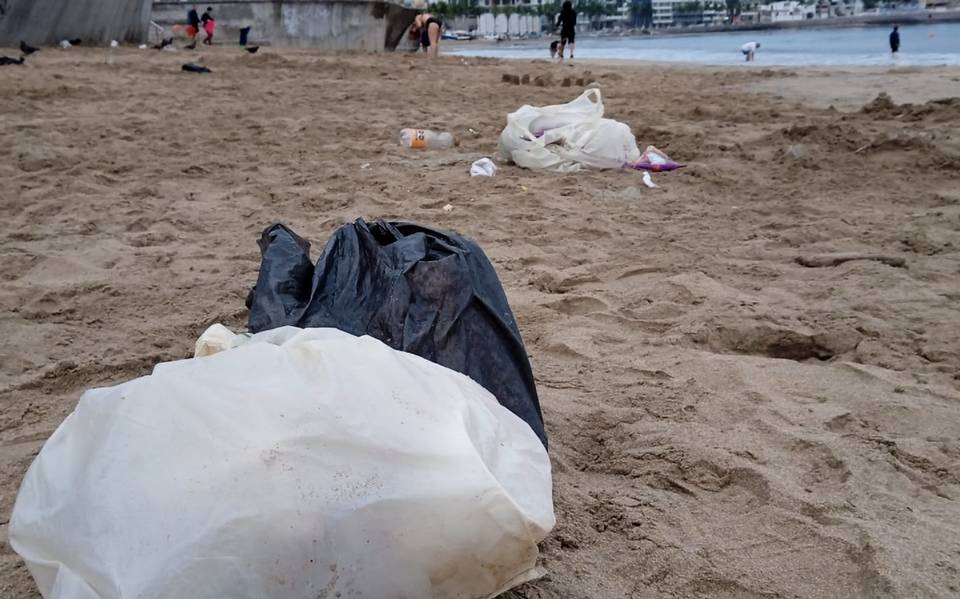 Bolsas de Basura para Contenedores  Punto Oriente - Productos de Limpieza