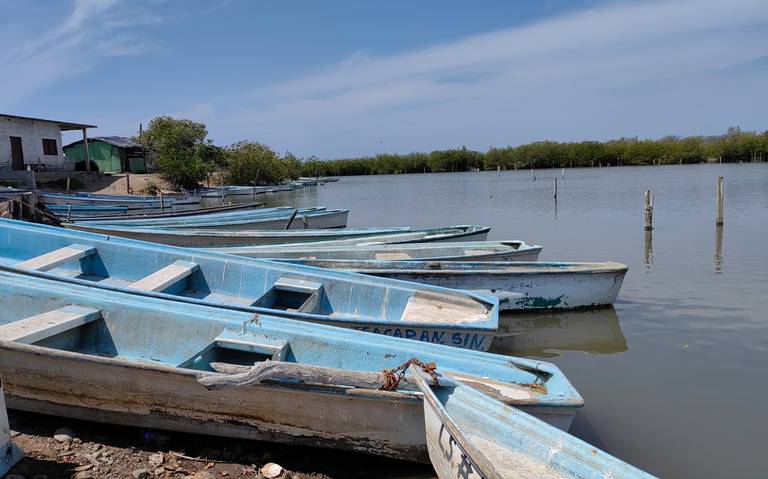 Sinaloa es el estado que más incumple las normas de pesca - El Sol de  Mazatlán | Noticias Locales, Policiacas, sobre México, Sinaloa y el Mundo