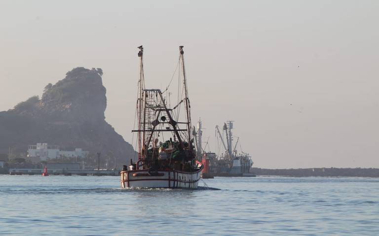 Aumentan las ventas de artículos de pesca - El Sudcaliforniano, articulos  de pesca 