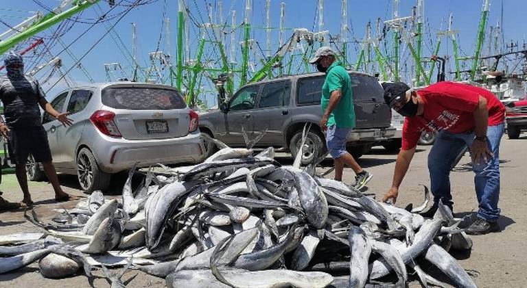 Aumentan las ventas de artículos de pesca - El Sudcaliforniano  Noticias  Locales, Policiacas, sobre México, Baja California Sur y el Mundo